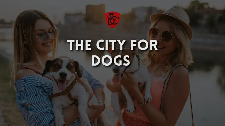 The Dog-Friendliest City