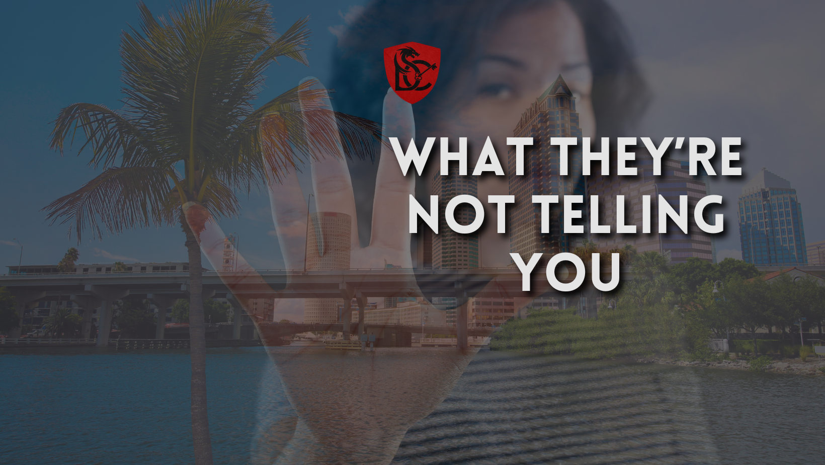 Why Everyone’s Moving to Tampa Bay (And What They Don’t Tell You)