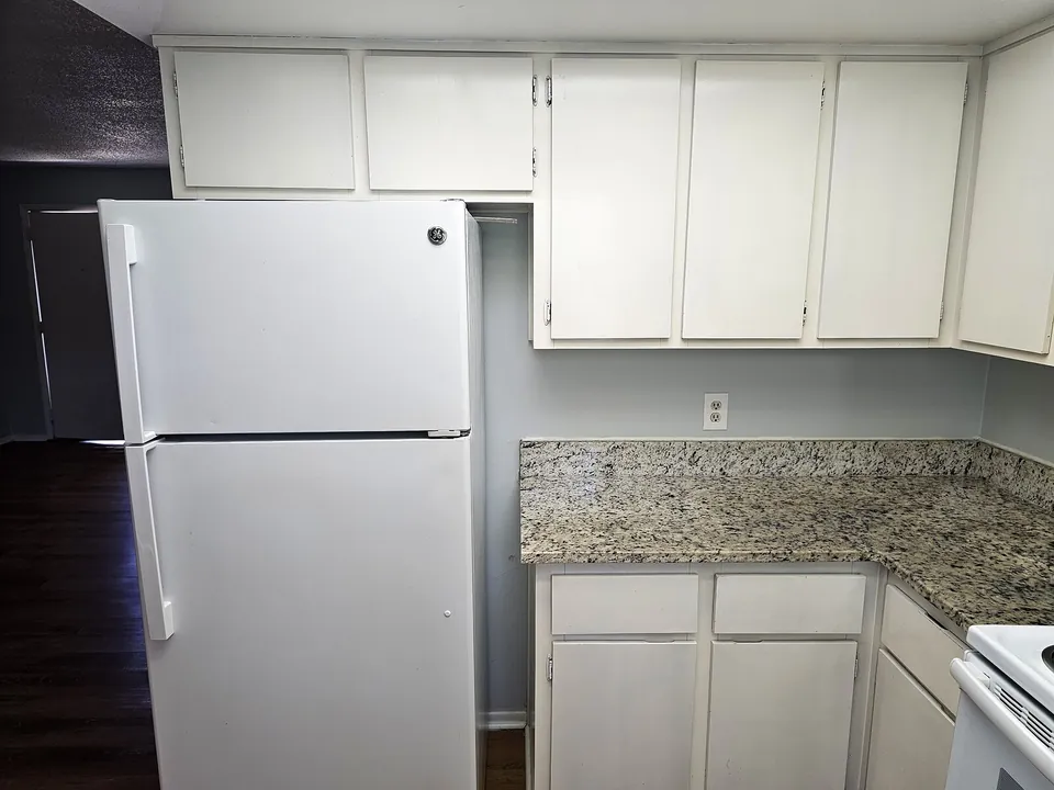 Kitchen fridge counter at 1277 Sylvia Avenue