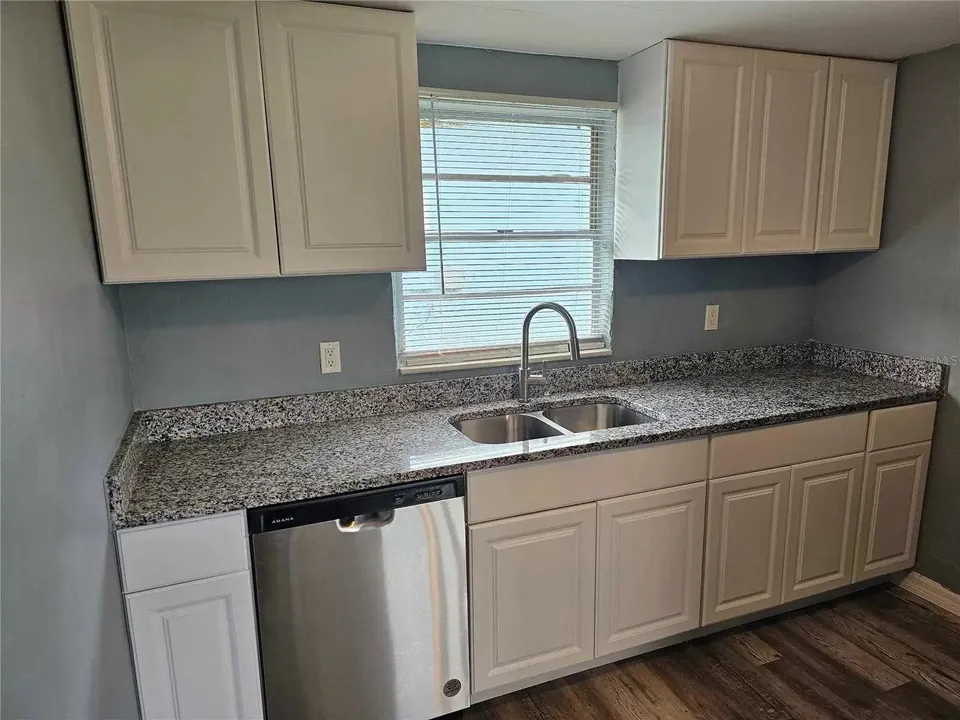 Kitchen sink cabinets at 129 Florida Drive